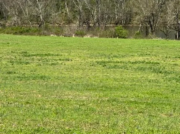 N Ruggles Ferry Pike, Strawberry Plains, TN 37871
