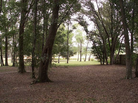 Beautiful land with mature oaks