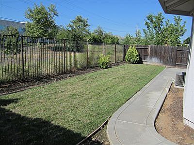 back yard