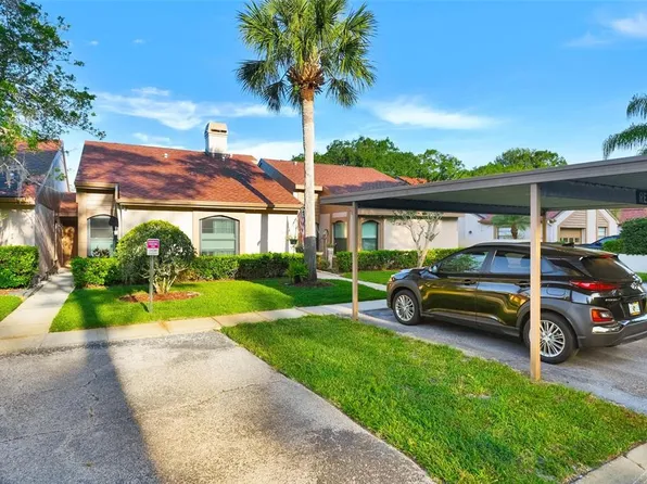 3436 Hillmoor Dr, Palm Harbor, FL 34685