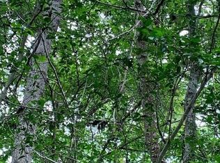 0 Bailey Grove Rd, Montgomery, TX 77356