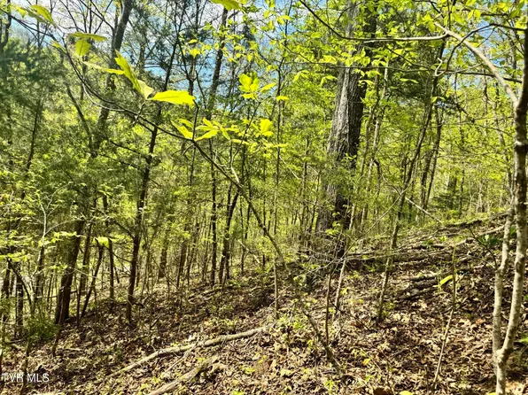 0 Weeping Willow Way, Newport, TN 37821