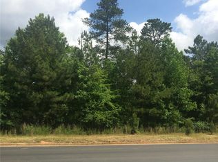 3166 Balley Forrest Dr LOT 174, Alpharetta, GA 30004
