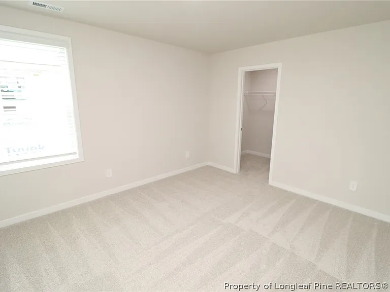 4121 Hazel Branch Way — Photo 27