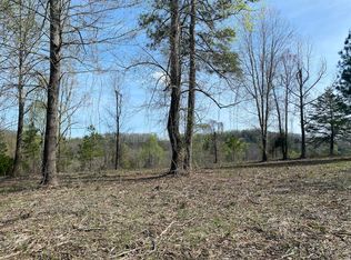 Dawn Dr, Spring City, TN 37381