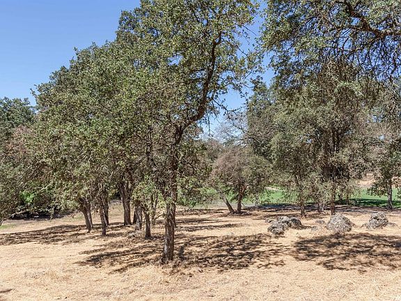5th image of 15333 De La Cruz Dr
