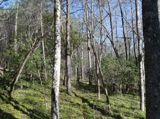 LOT 36 Ridge Brook Trl, Morganton, GA 30560