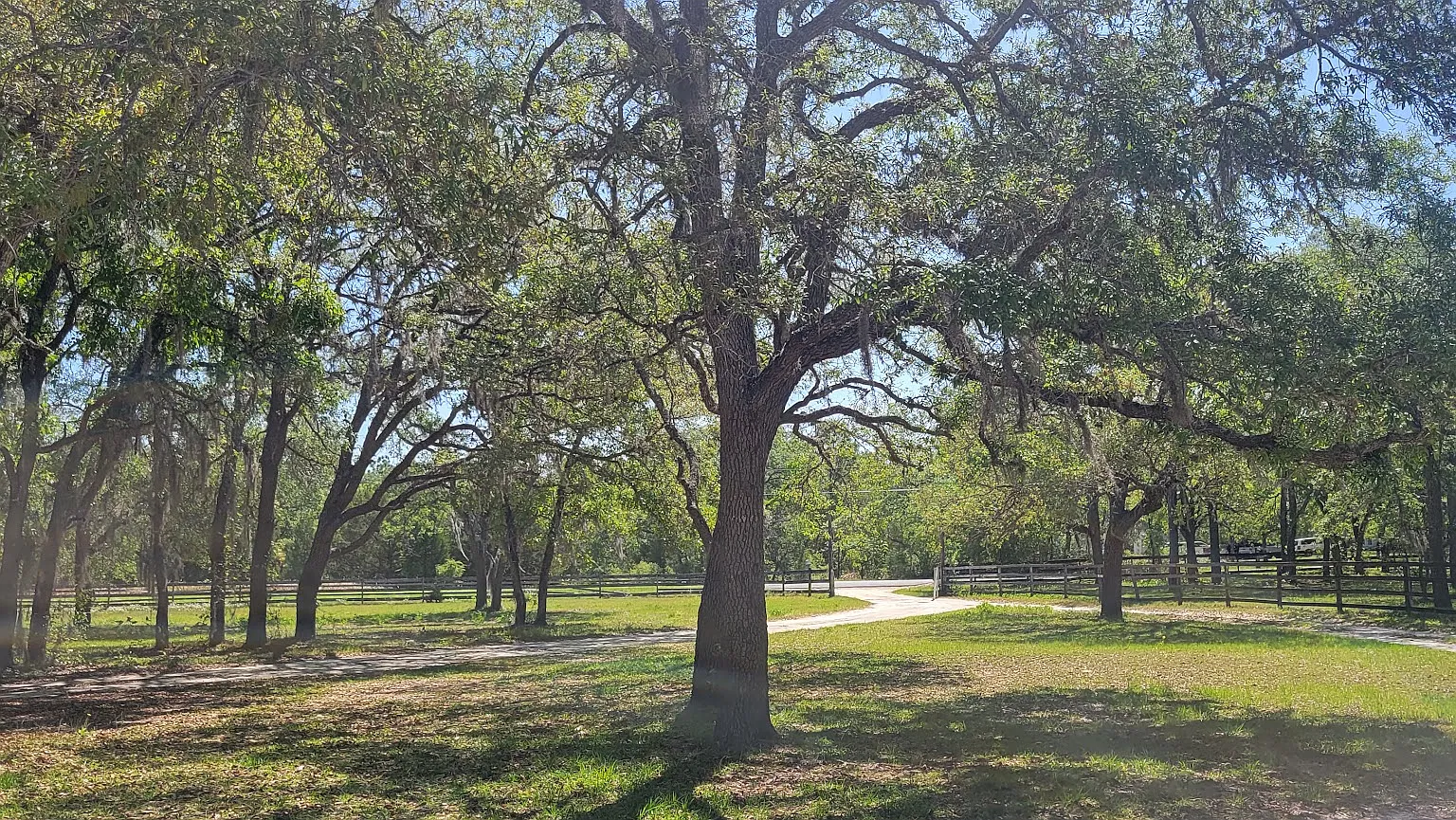 2 bed 2 bath with a den and a large family room on 3.9 acres — Photo 2