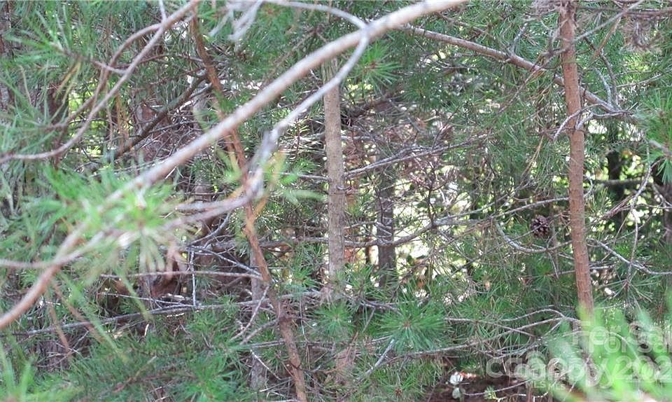 2nd image of 2388 Bayleigh Dr #5