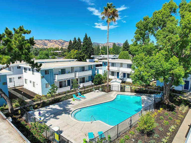 The Camellia on Buck | Pool