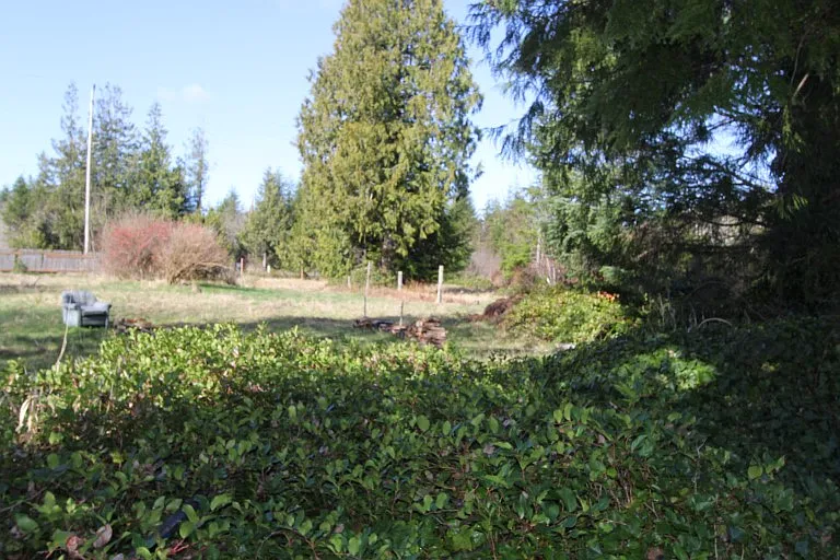 2060 Ocean Beach Rd photo 1