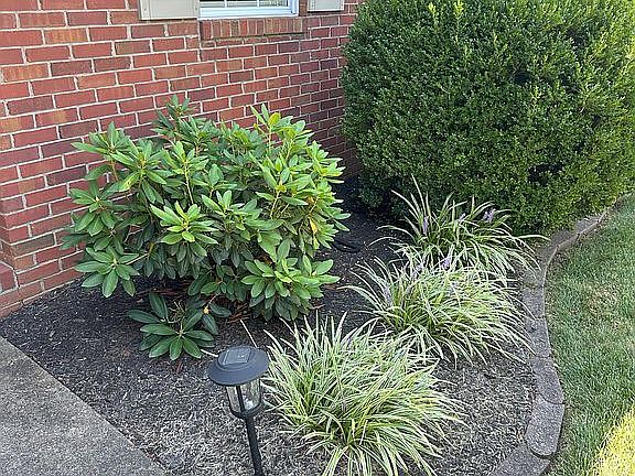 Beautiful Landscaping