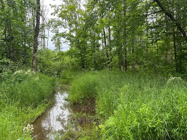 Off 519 Rd, Wakefield, MI 49968