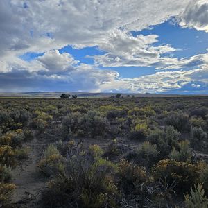 Casad Ln #1100, Christmas Valley, OR, 97641