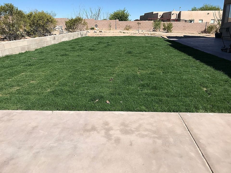 Sod lawn