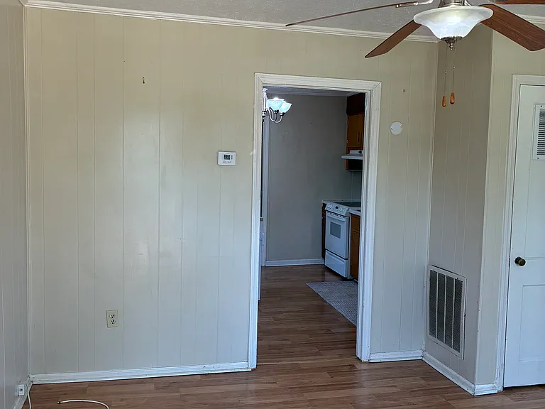 315 Bluff Ave — Photo 3