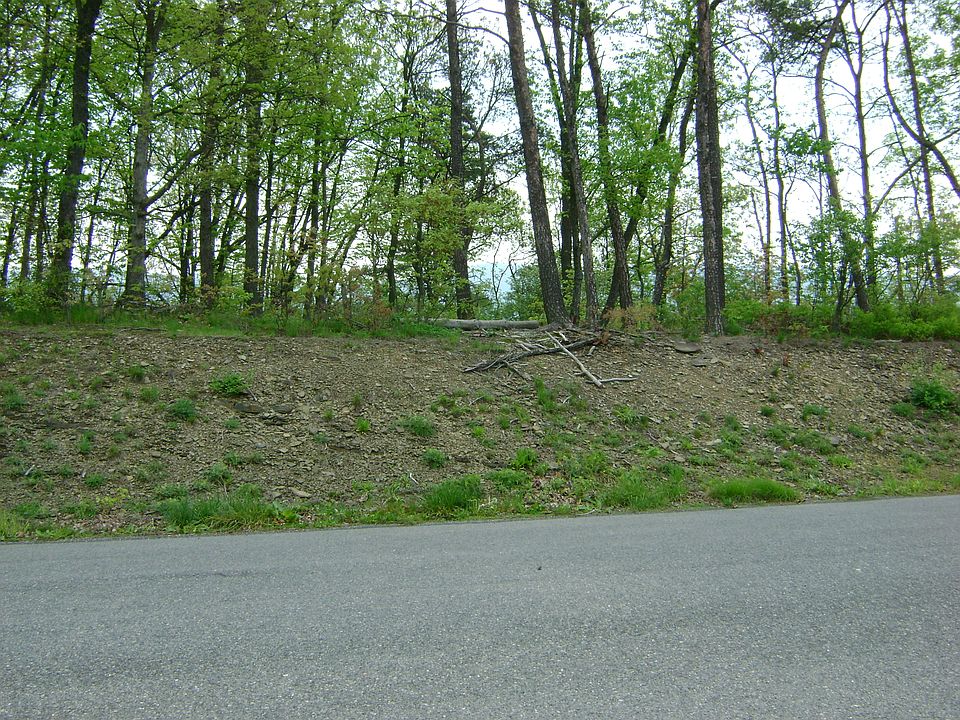 1st image of 10006 Carrington Ct