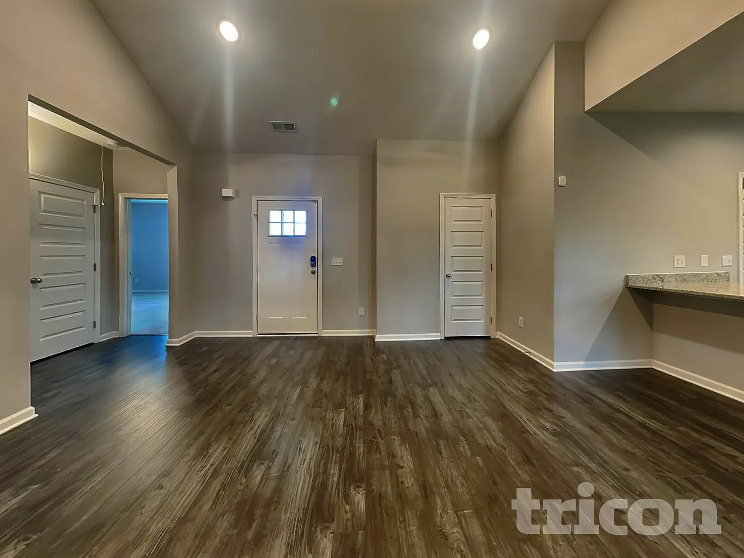 1008 Cyril Drive Spring Hill TN — Photo 2