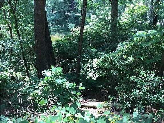 2nd image of 869 Twin Mountain Lake Cir