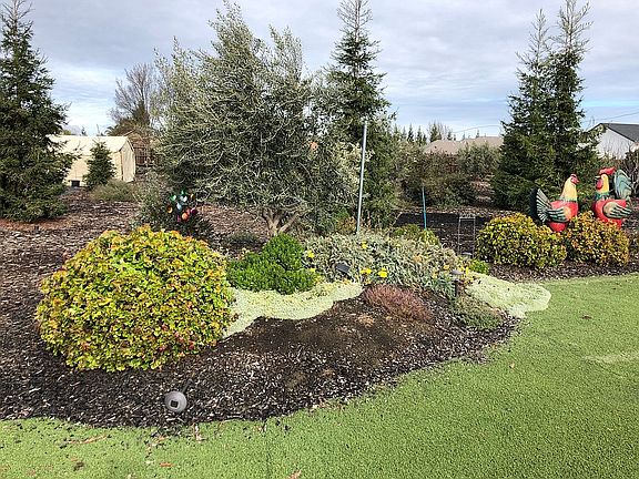 Artificial Turf in backyard 