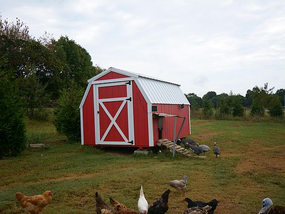 5th image of 18 Ader Holt Rd