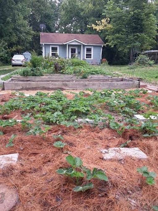 Strawberry patch included.