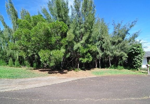 4th image of 4460 Lani Ikena Pl