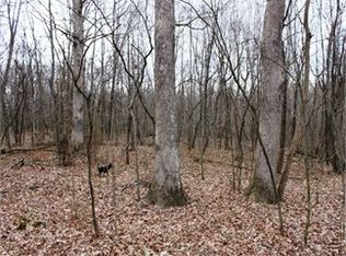 2150 Jett Rd, Odin, IL 62870