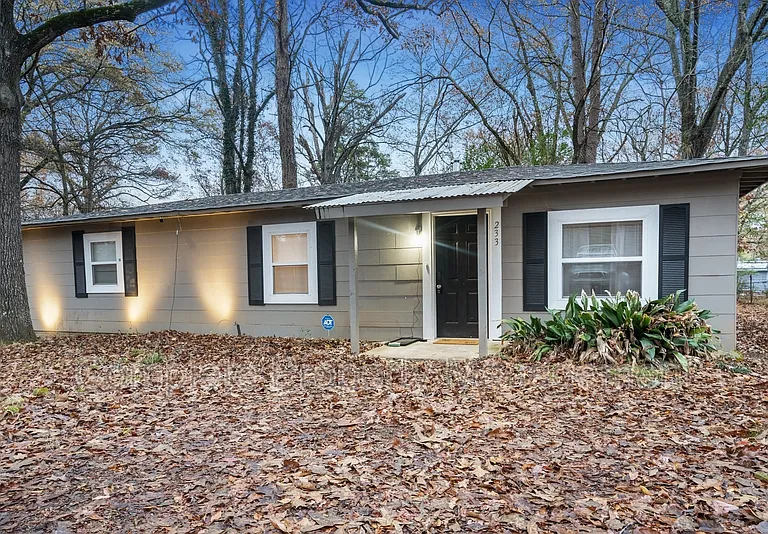 233 Tucker Ave — Photo 1