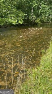 10701 Mulky Gap Rd, Blairsville, GA, 30572