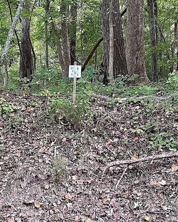 1st image of 1164 River Hills Rd