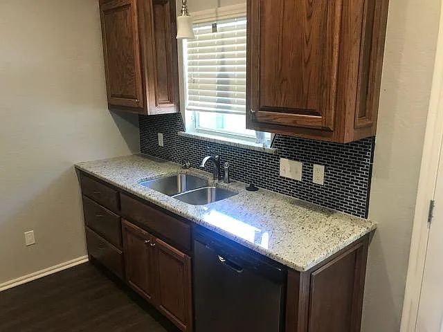 Kitchen sink and dishwasher