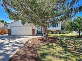 804 Park View Pl, Castle Rock, CO 80104