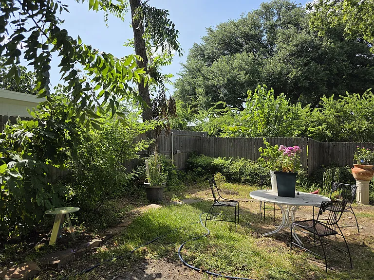 Back yard