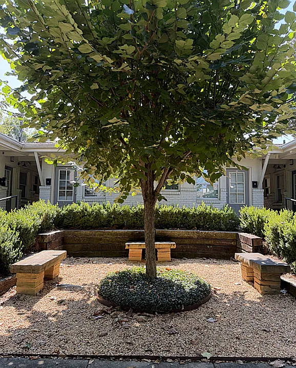 Clairmont Court Apartments