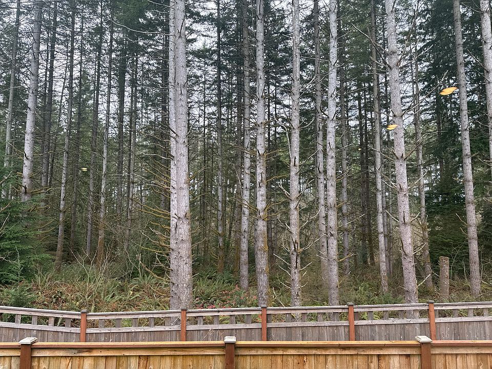 Back side View from the dining area
