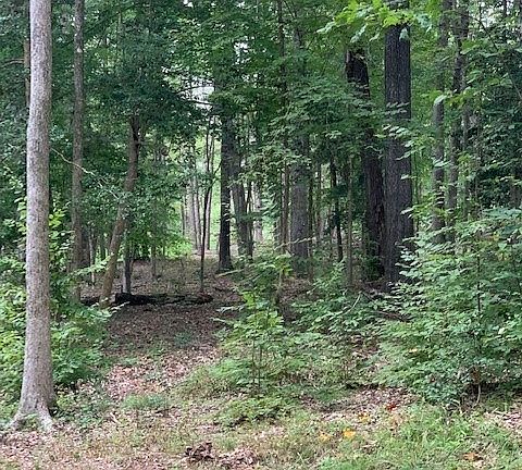 2nd image of LOT 33 Thornton Dr
