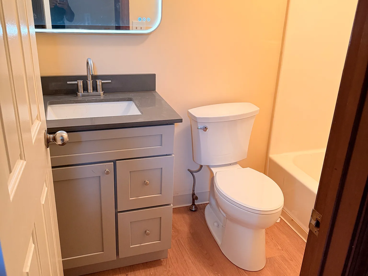 1 bed, 595 sqft, $1,550 — Photo 3