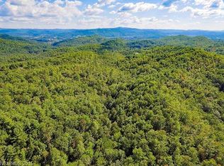 290 Pelletier Ln, Pisgah Forest, NC 28768