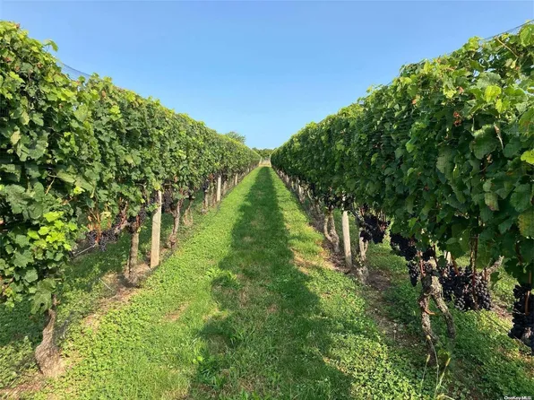 480 Tuthill's Lane, Riverhead, NY 11901