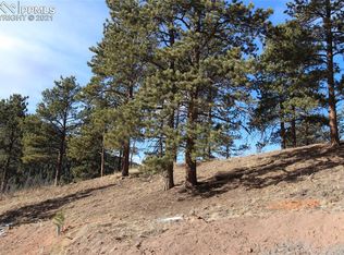 126 E Village Ter, Woodland Park, CO 80863