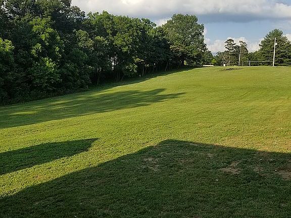 Very large back yard