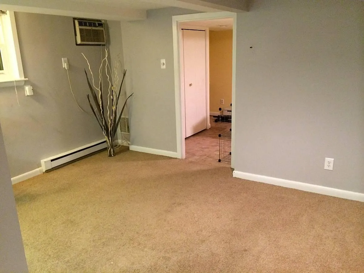 4223 Brandywine St NW — Photo 3