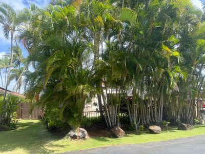 1672 Kelaukia St, Koloa, HI, 96756