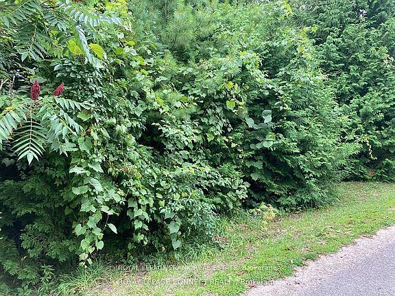 3rd image of 0 Pinecrest Rd