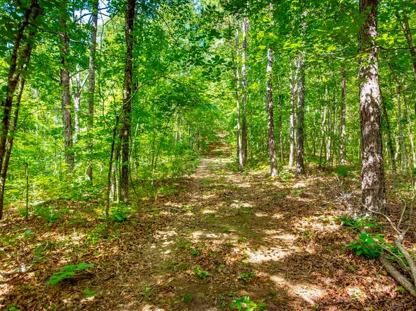 Highway 16 Loop W, Clinton, AR 72031