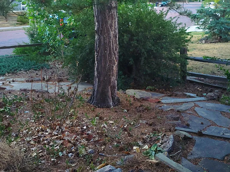 706 Blossom Field Rd — Photo 4