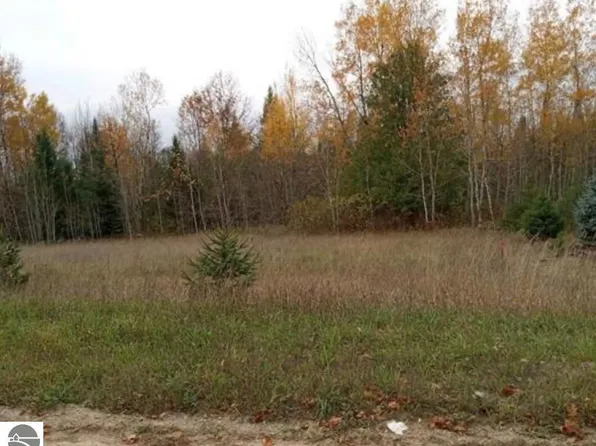 0 Bennett Rd, Williamsburg, MI 49690