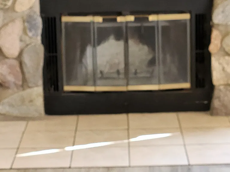 Living Room fireplace