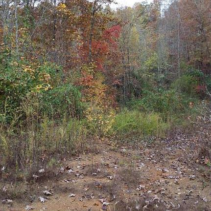 2nd image of Old Harriman Hwy